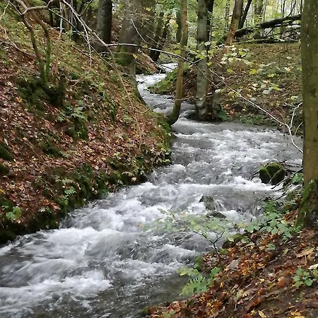 Διαμέρισμα Ferienwohnung Haus Harz Urlaub *